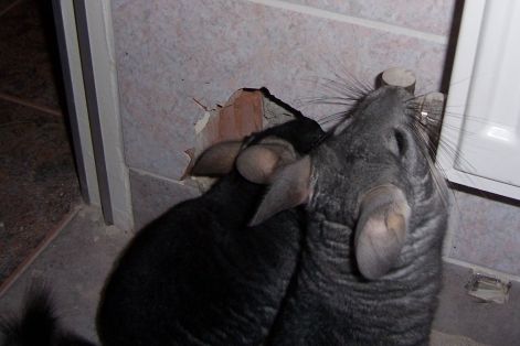 000_0047.jpg