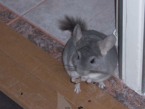 000_0169.jpg