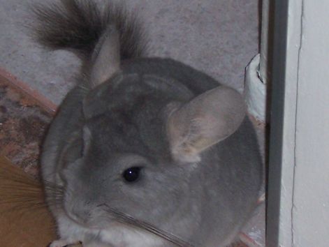 000_0175.jpg