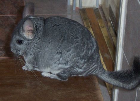 000_0857.jpg