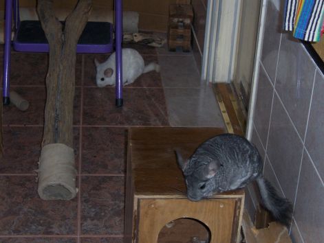000_0880.jpg