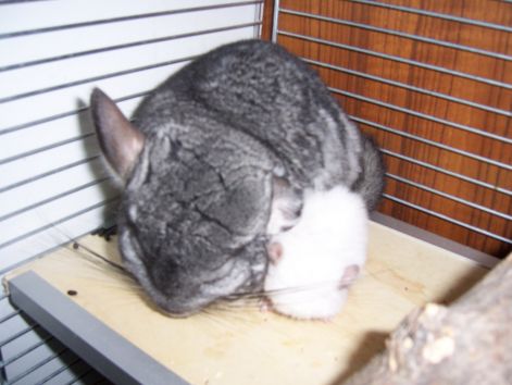 000_1107.jpg