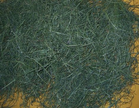 000_1109.jpg