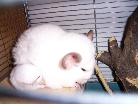 000_1115.jpg