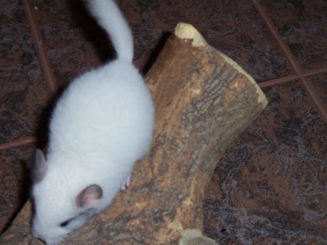 000_1203.jpg