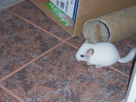 000_1257.jpg