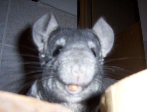 000_1285.jpg