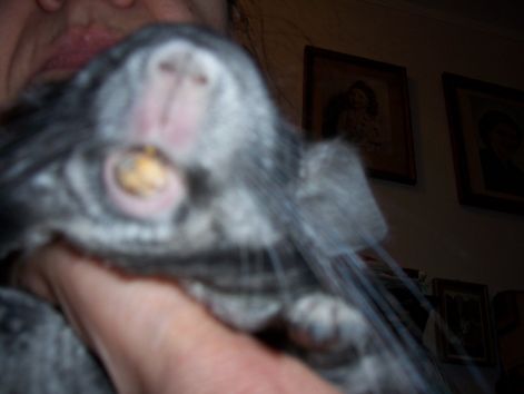 000_1289.jpg
