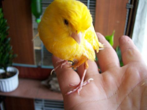 000_1358.jpg