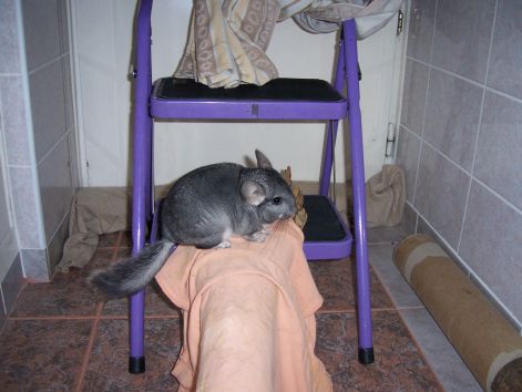 000_1436.jpg
