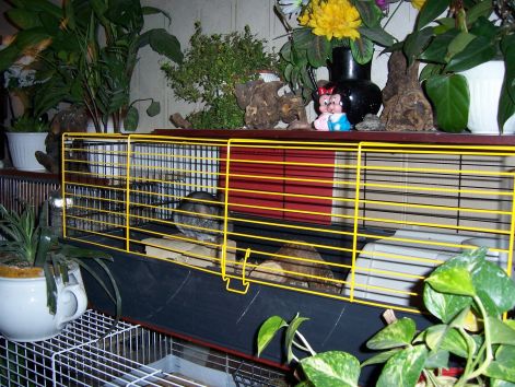 000_1441.jpg