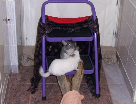 000_1642.jpg