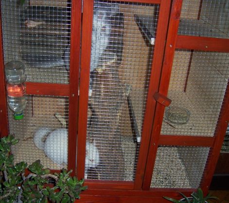 000_2207.jpg