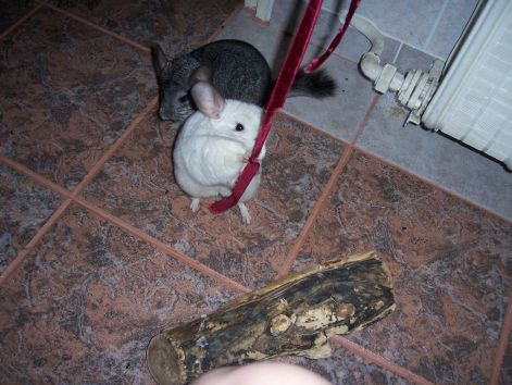000_2306.jpg