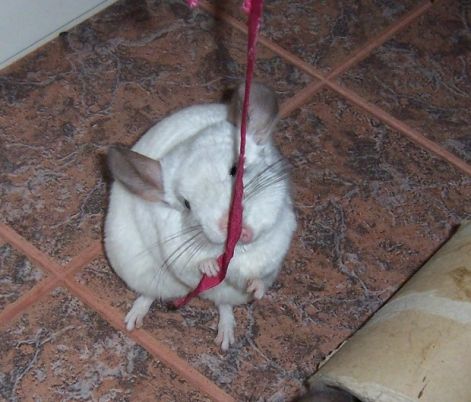 000_2307.jpg