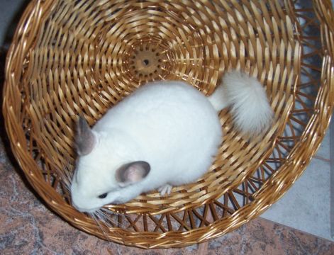 000_2458.jpg