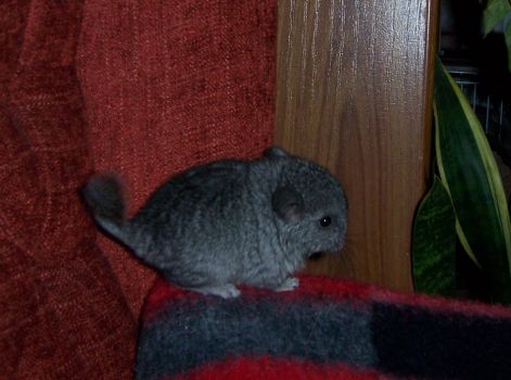 000_2722.jpg