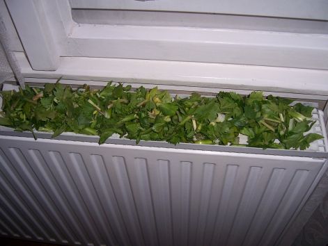000_3252.jpg