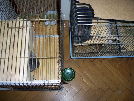 000_3340.jpg