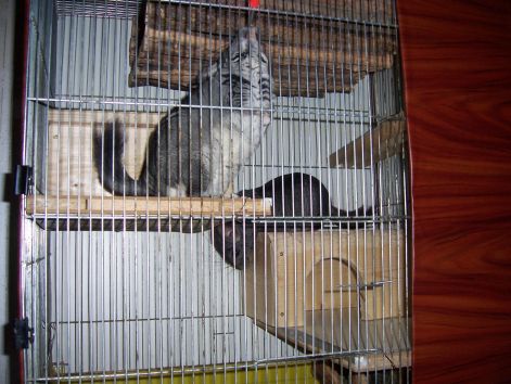 000_3356.jpg