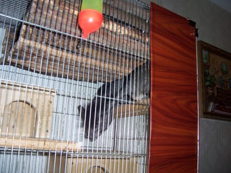 000_3359.jpg