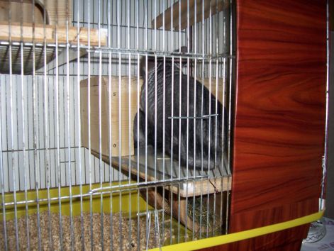 000_3367.jpg