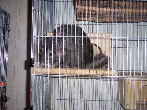 000_3378.jpg
