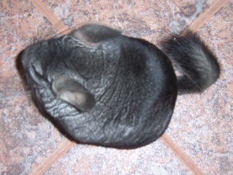 000_3518.jpg