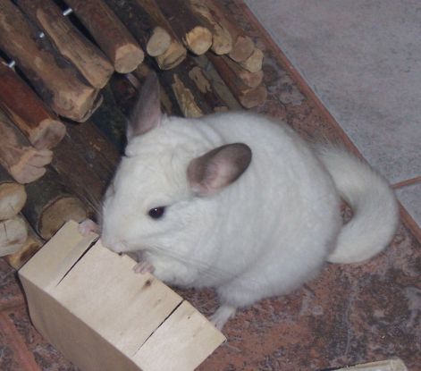 000_3553.jpg