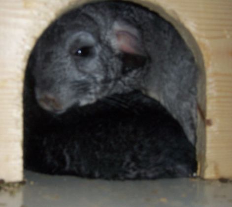 000_3700.jpg