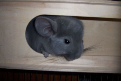 000_3744.jpg