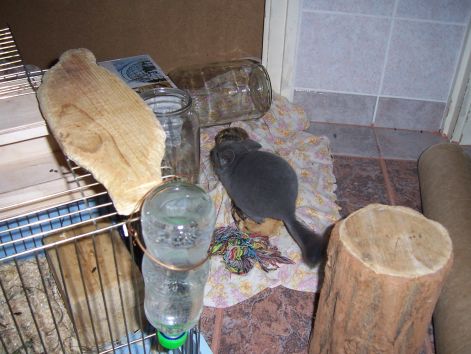 000_3745.jpg