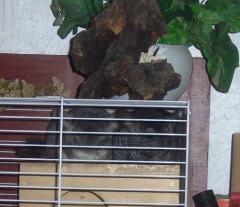 000_4645.jpg