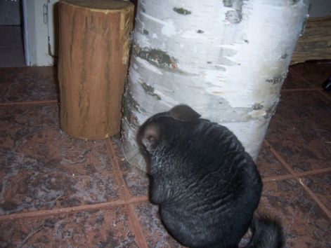 000_4816.jpg