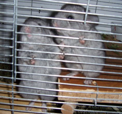 000_4929.jpg