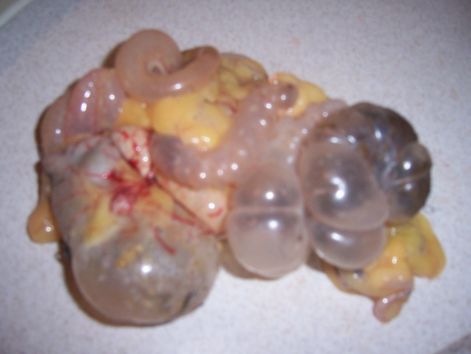 000_5337.jpg 000_5337.jpg