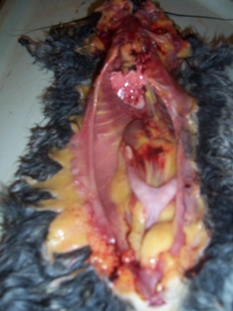 000_5340.jpg 000_5340.jpg