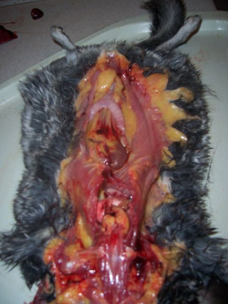 000_5341.jpg 000_5341.jpg