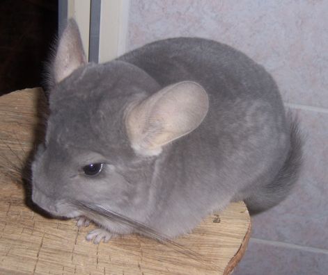 000_6091.jpg