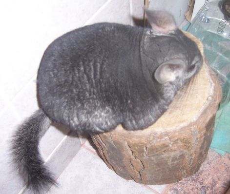 000_6252.jpg