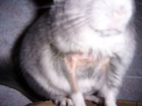 000_7236.jpg