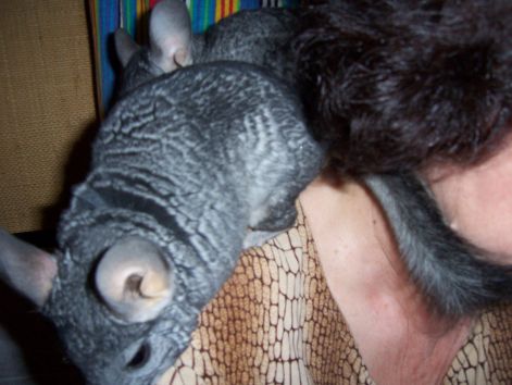 000_7302.jpg