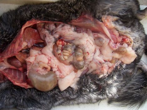 000_7463.jpg 000_7463.jpg