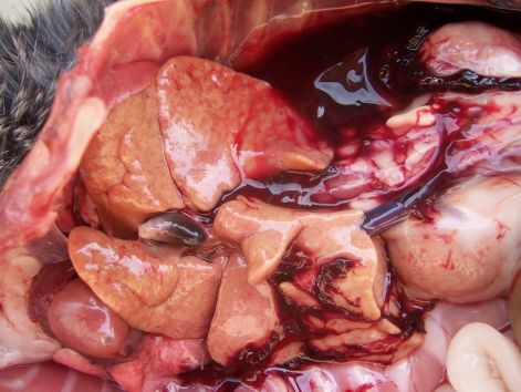 000_7464.jpg 000_7464.jpg