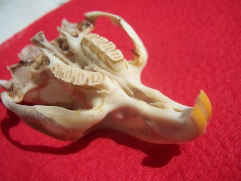 000_7970.jpg