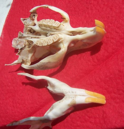 000_7971.jpg