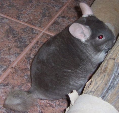 000_8457.jpg