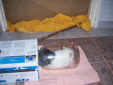 000_8582.jpg