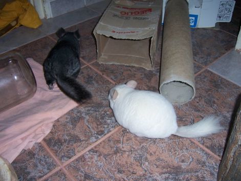 000_8588.jpg