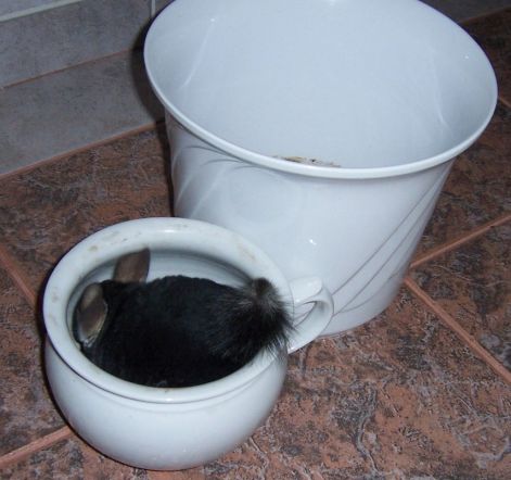 000_8823.jpg